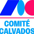 CD14TT